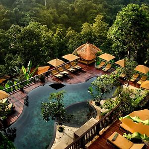 Nandini Jungle By Hanging Gardens